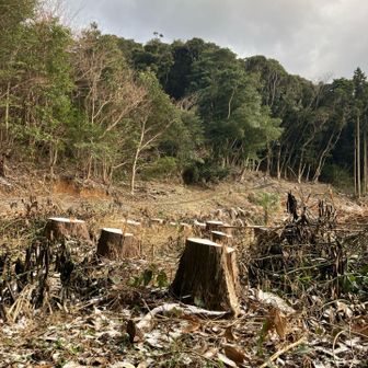 二丈への登山口が一変していた。残念な光景