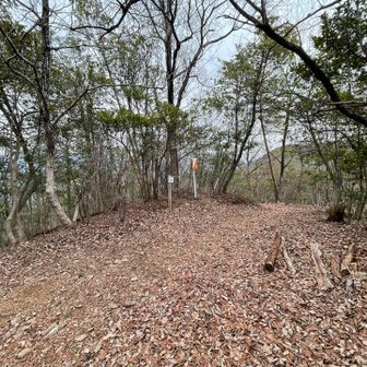 西峰は山頂標識がないのね💦