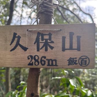 久保山登頂286m