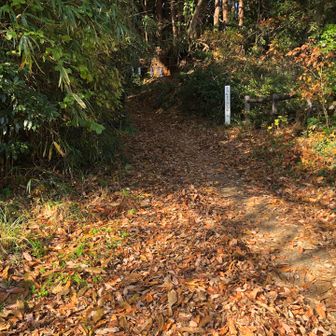 戻ってきましたー。