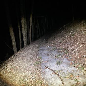 鳳凰山・地蔵岳・観音岳・薬師岳 杖立峠から凍結箇所出てきたよ👀
こんな所で滑って鈍く痛めたくないので、足場気を付けて歩きます🐾