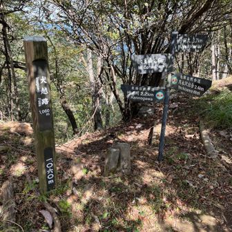 檜洞丸山頂からここまでは長かった