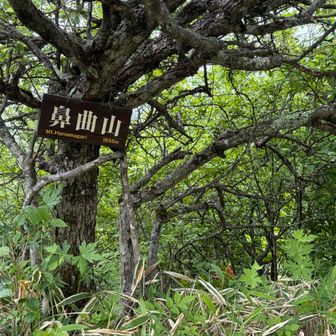 頂上はもう少し進んだこちら