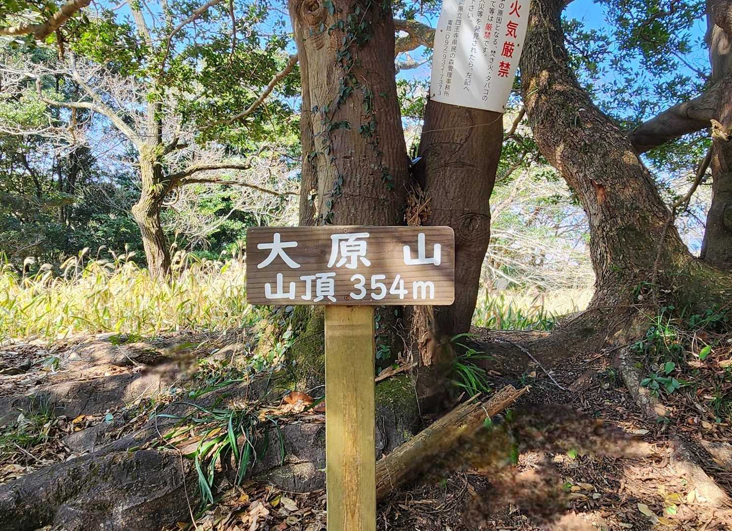 大原山  354m