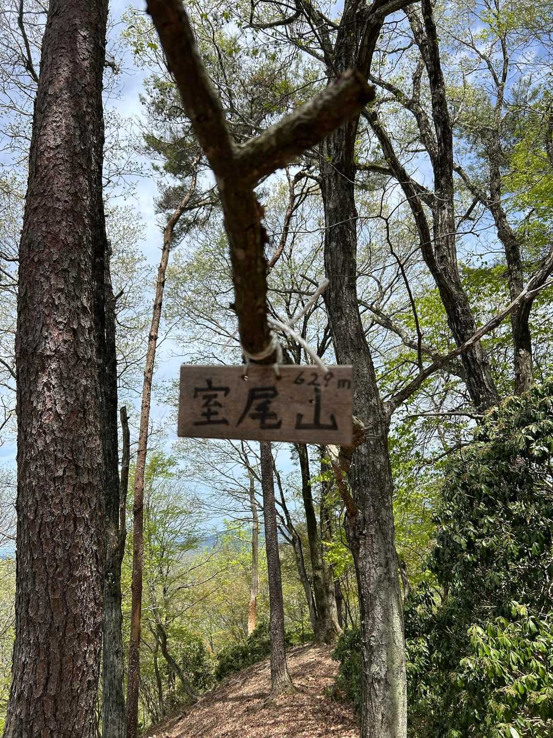 ふるさと兵庫100山
99座目登頂〜🙌
地味なお山だけど登りやすいお山でした。