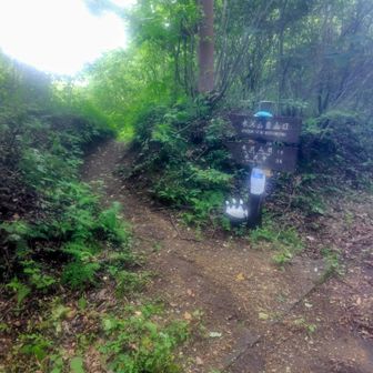 駐車場の少し奥から登山道スタート