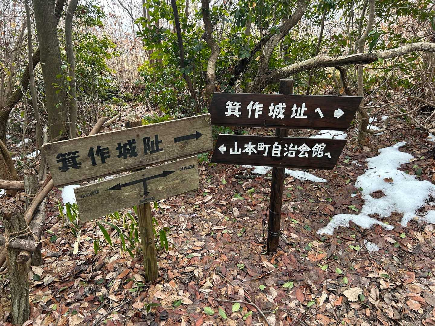 分岐