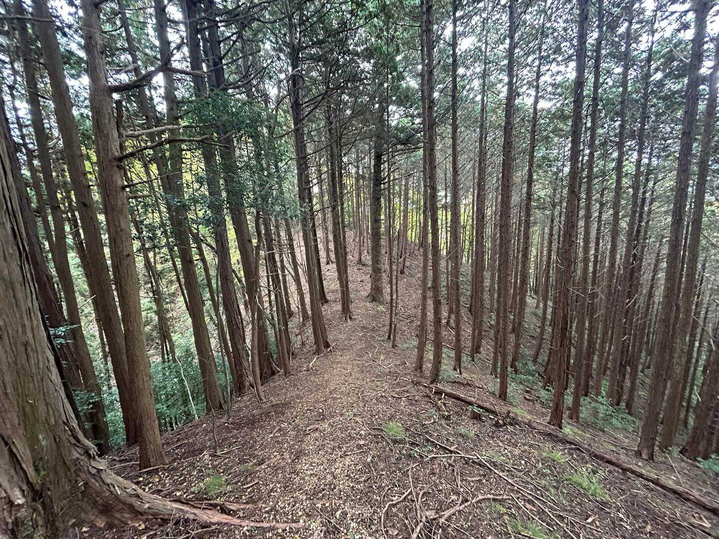 次石山までの⤴️⤵️は更に厳しく💦