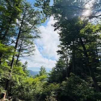 相定ケ峰の手前。