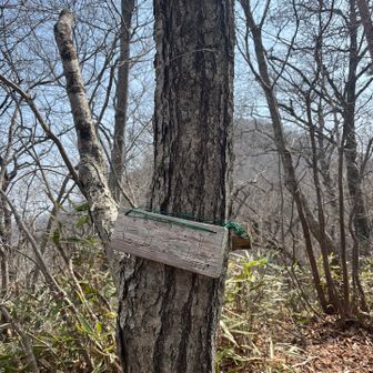 そしてほぼ下って最終目標