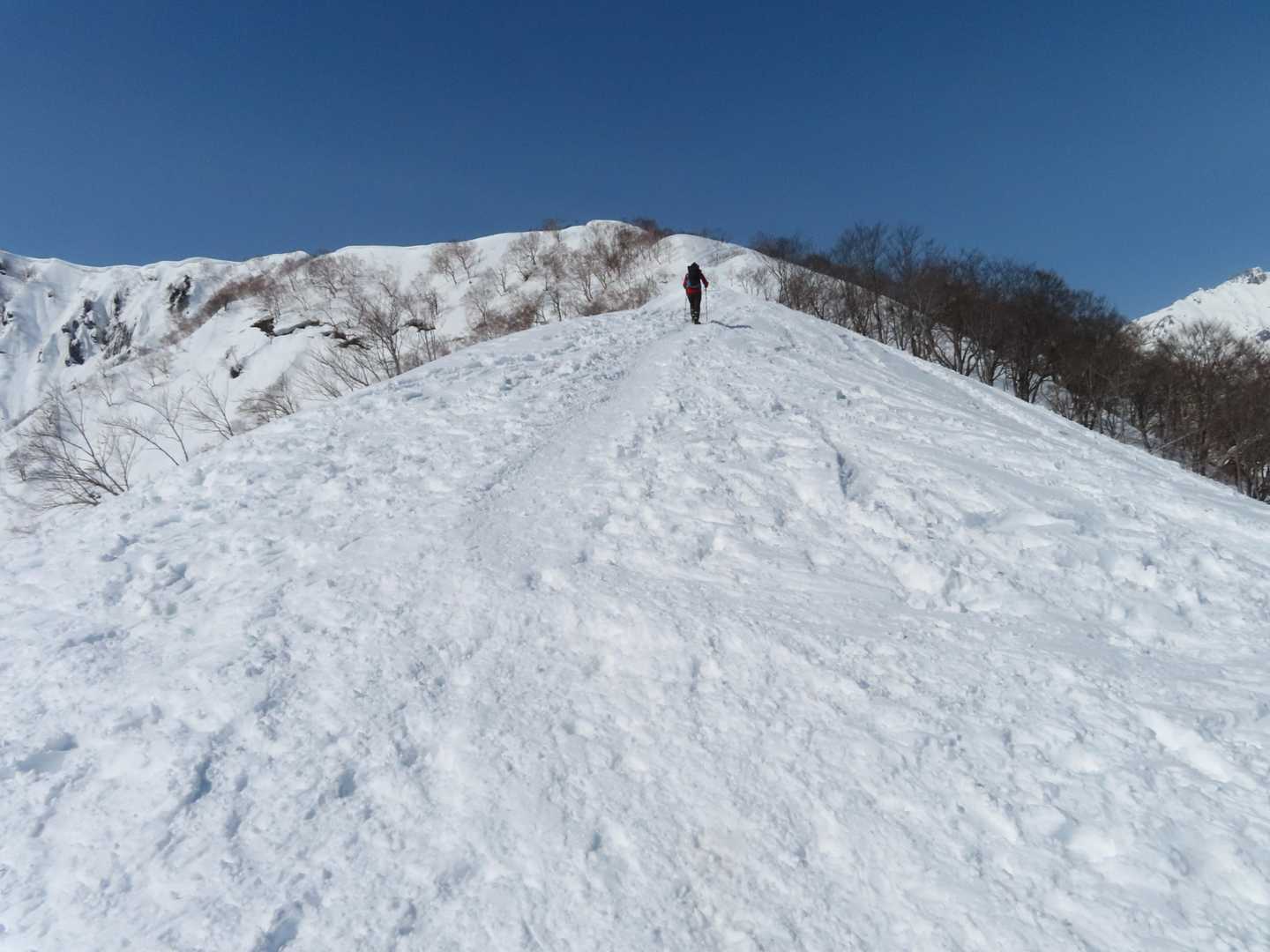 登り切ると稜線