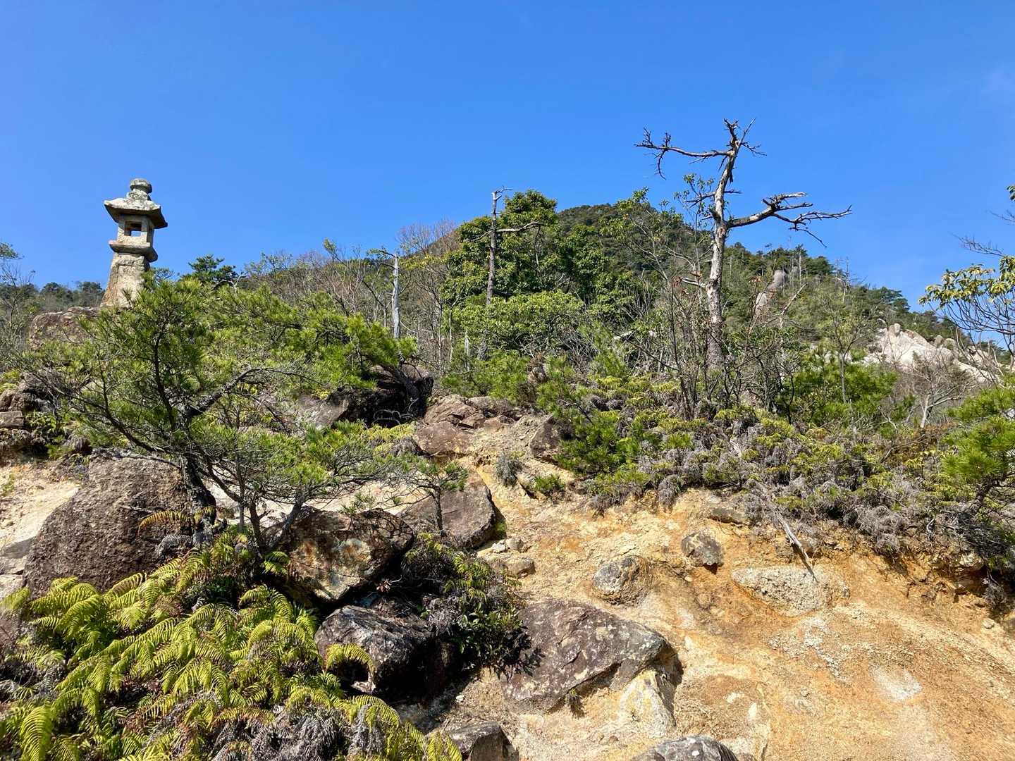 岳山-鳥越峰-見張山 縦走コースの写真