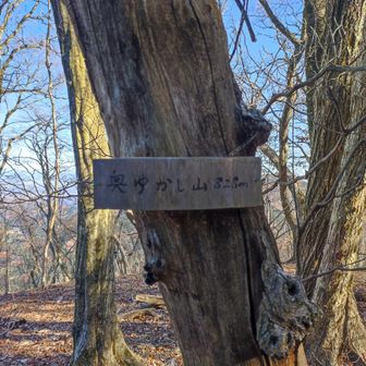 奥ゆかし山　山頂です
通り道的な感じなので、気づかない可能性もあります