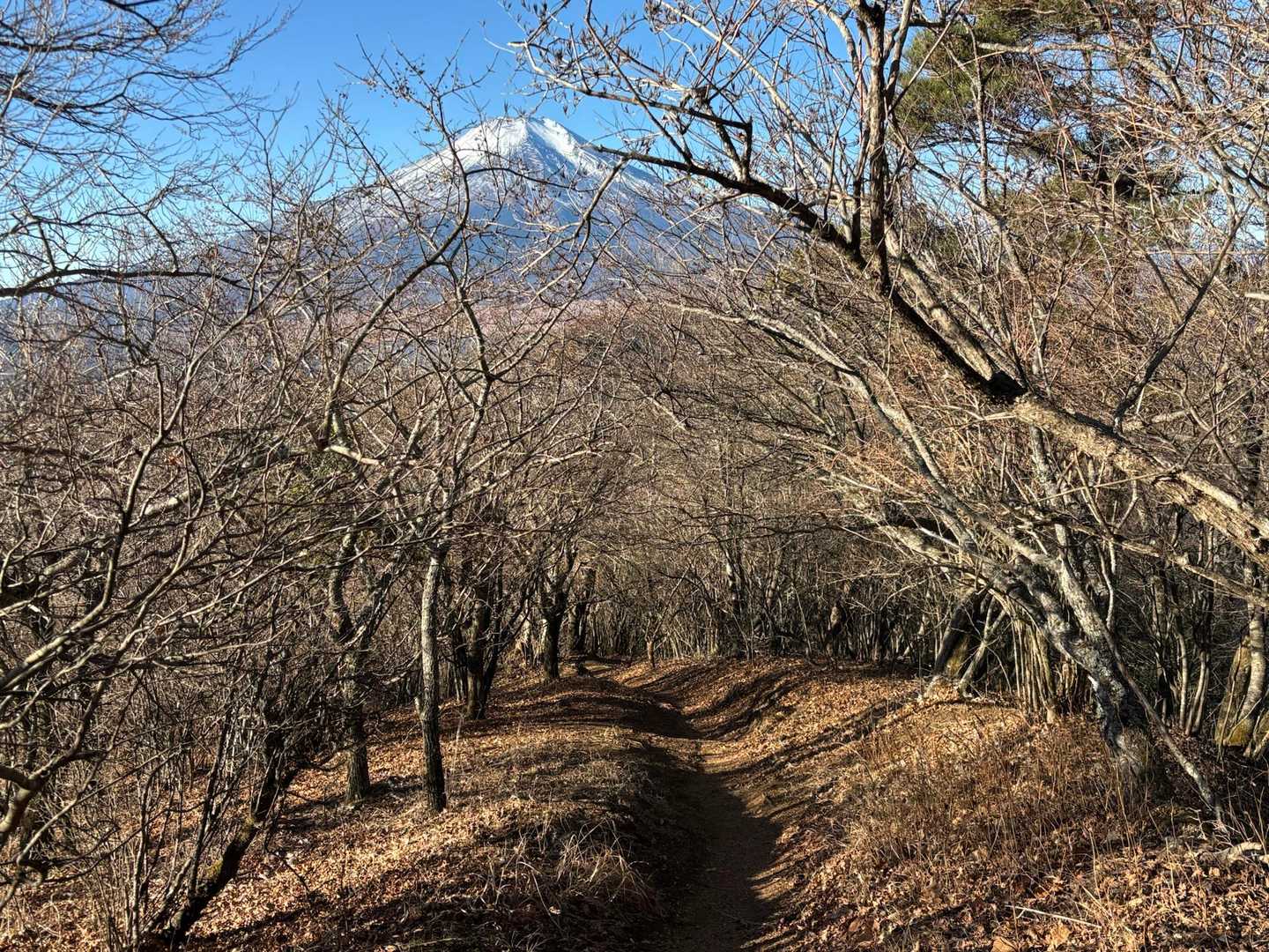 富士山を見ながらの縦走。
最高😆。