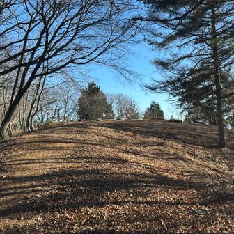 写真枚数の都合で、もうすぐ山頂。
広々としています。