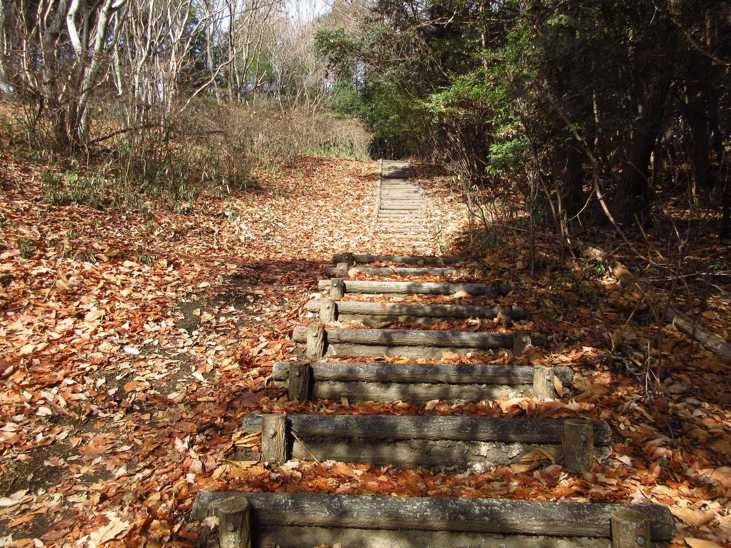 
遊歩道に復帰