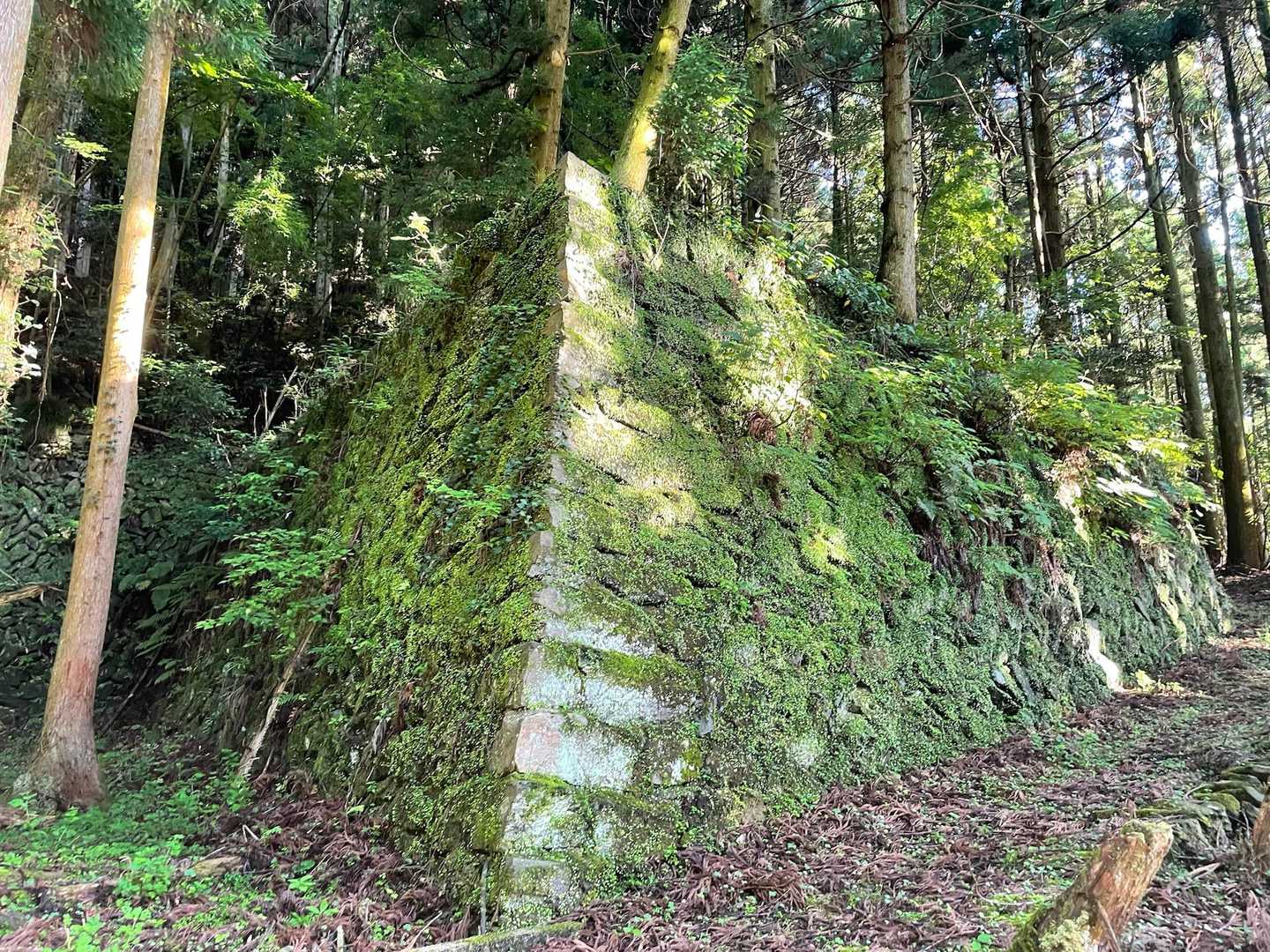苔むした立派な石垣です