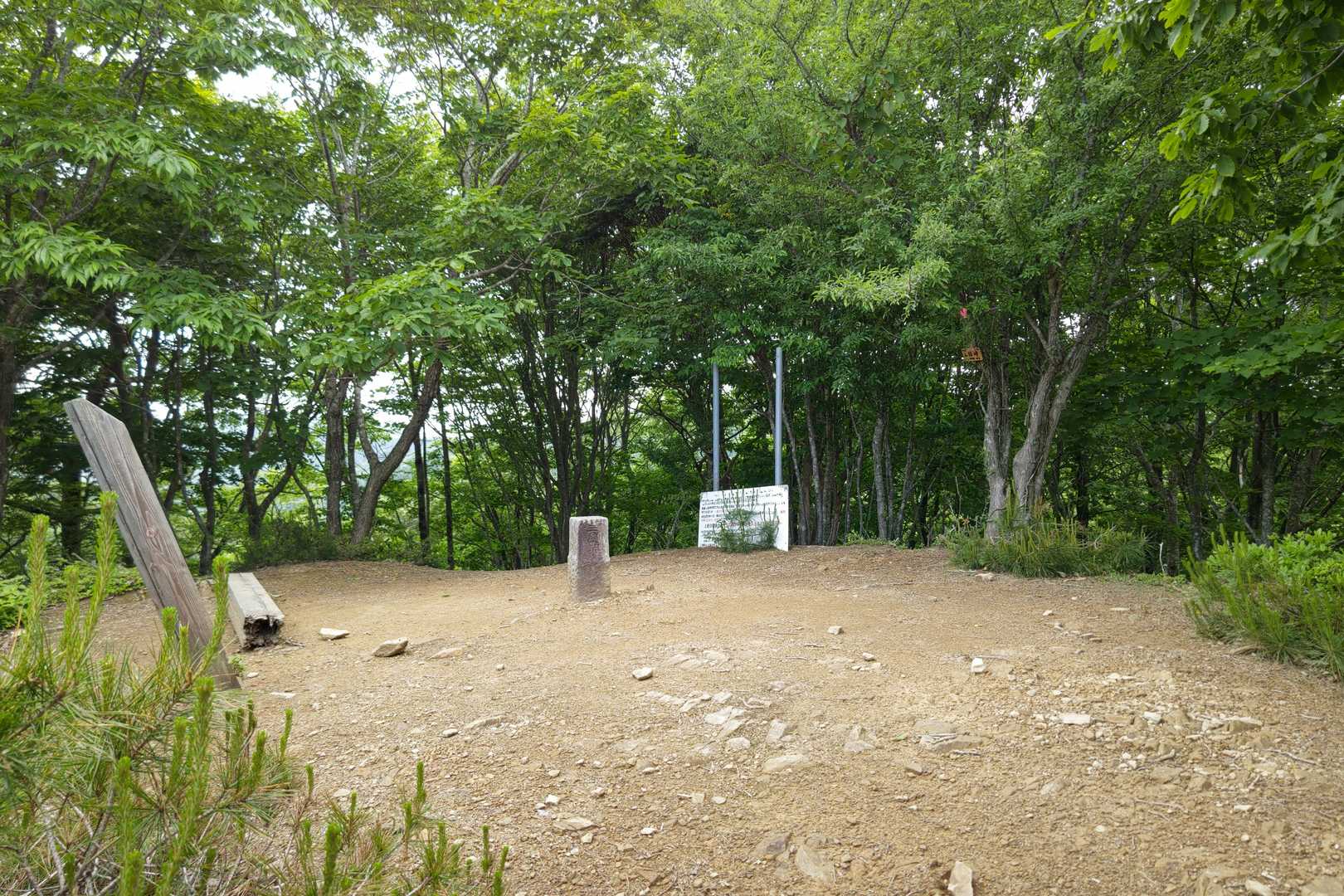 山頂に到着☺️
展望はありません😢