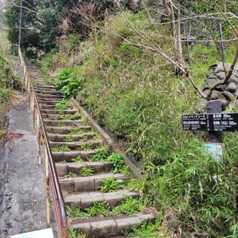 ハイキングコース入り口。まじで分かりづらくて見過ごすところだった。