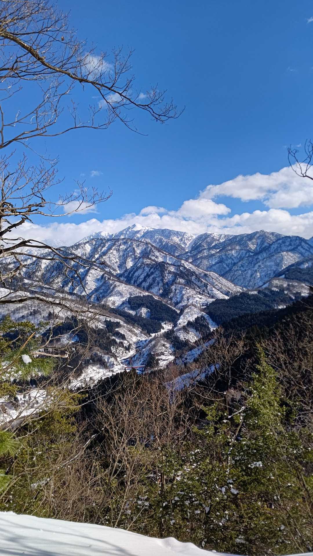 おぉ❗️大日岳がお顔を出してきた✨
てか ここ 景色良きですよ🎵