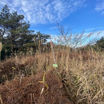 あっという間、眺望なし