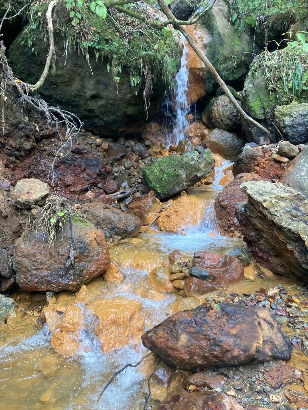 ここだけ石の色が黄土色
何か湧いてる