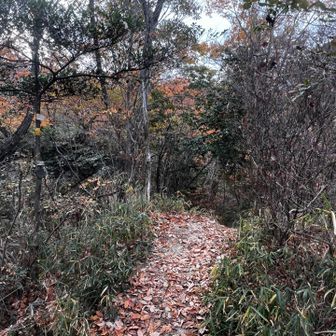 38　南宋円山　209.6m
No.7