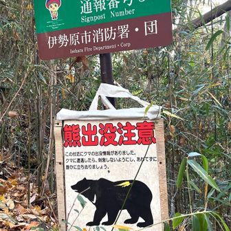 この辺りで熊🐻の出没あったそうです😨
