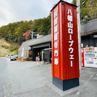 ロープウェーは外国人の人達で賑わってました🚠