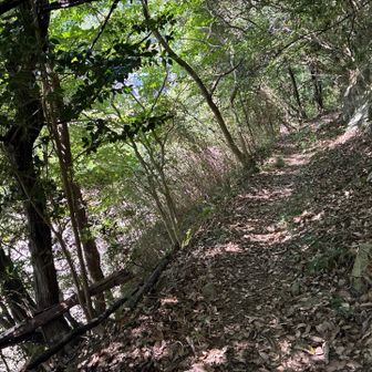 最後は川沿いを進み
