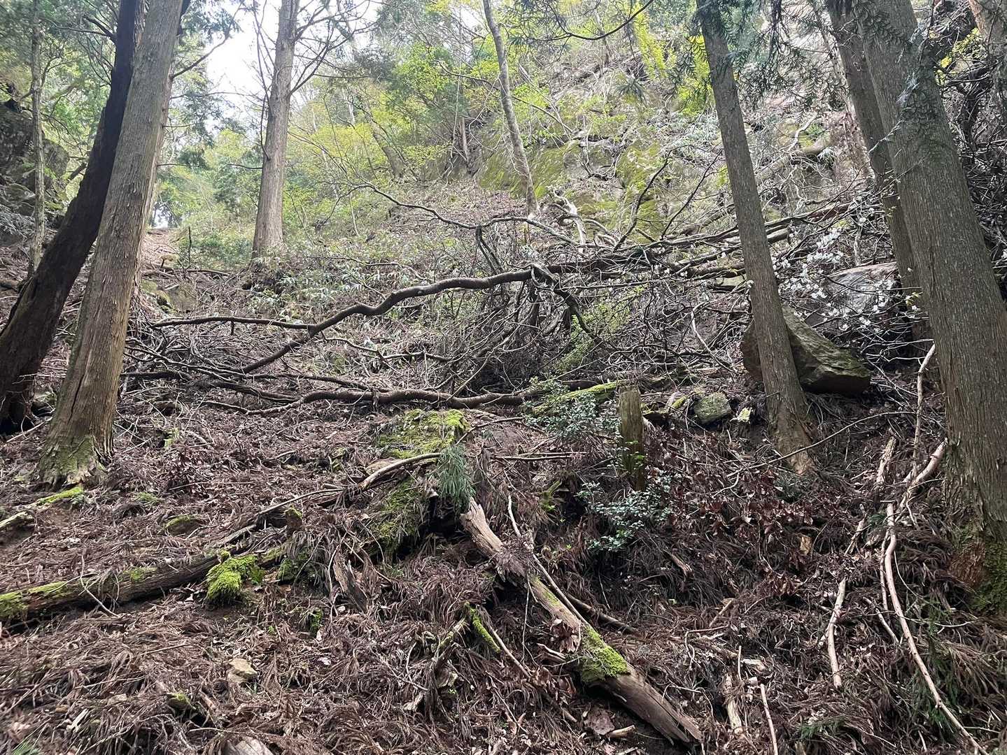 荒れてますなぁ😅