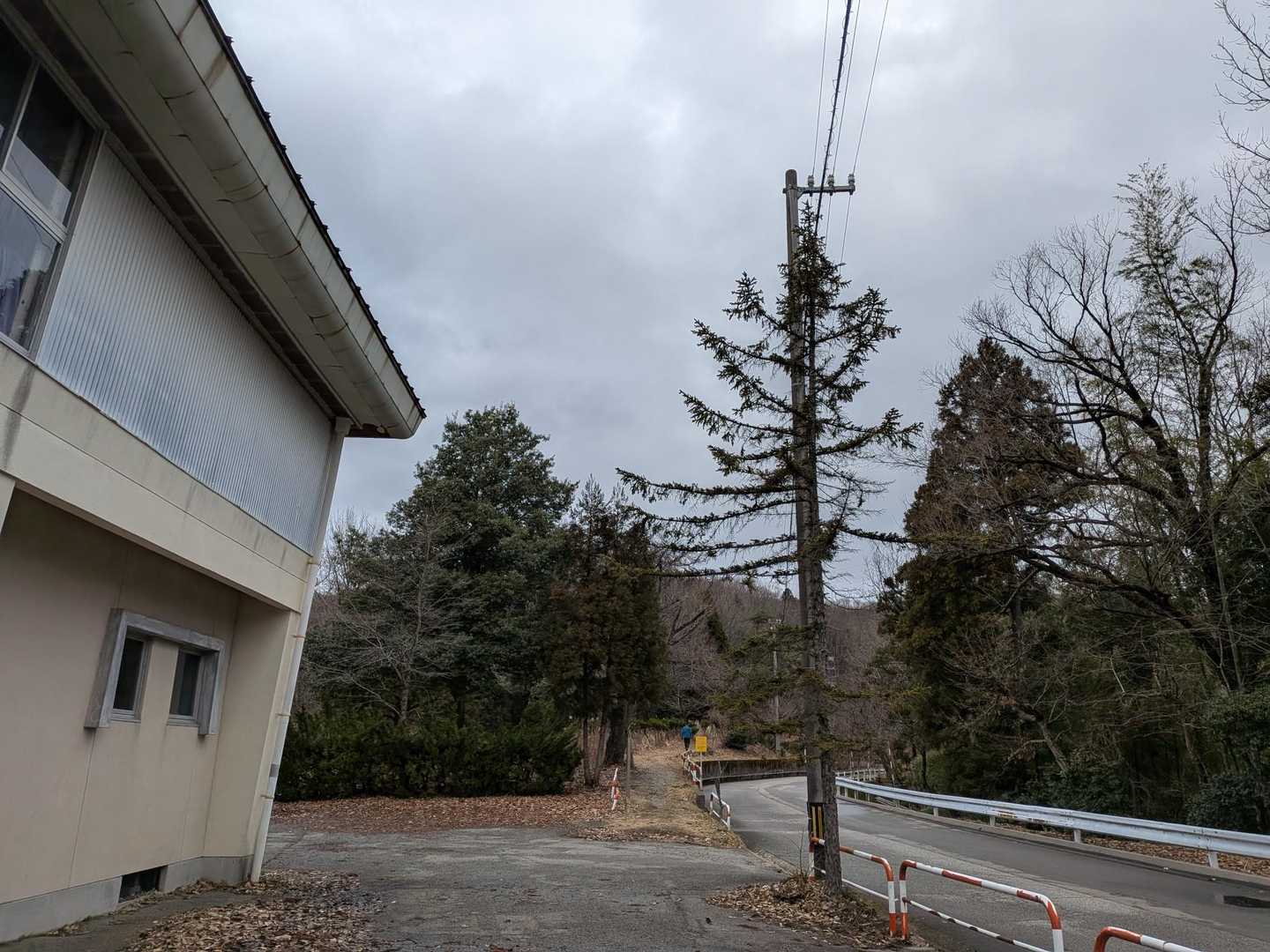 今日
えりさんの腰を労りつつ二上山