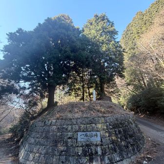 一本杉峠
い、一本？どっちか幻？