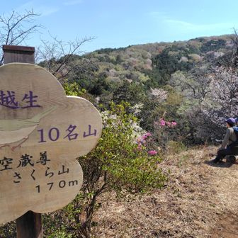 さくら山公園に戻って来ました
