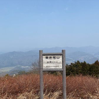 東床尾山に到着