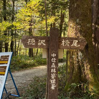 ここからは初めての道