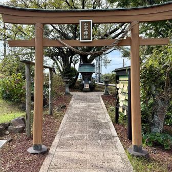 神社があったので参拝しました⛩️