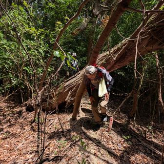 正道から少し外れてるので多少荒れてます