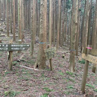 ここから急な下り坂
