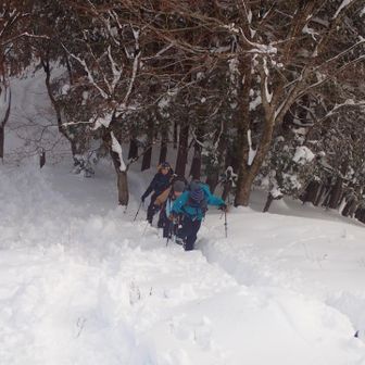 えっちらおっちら