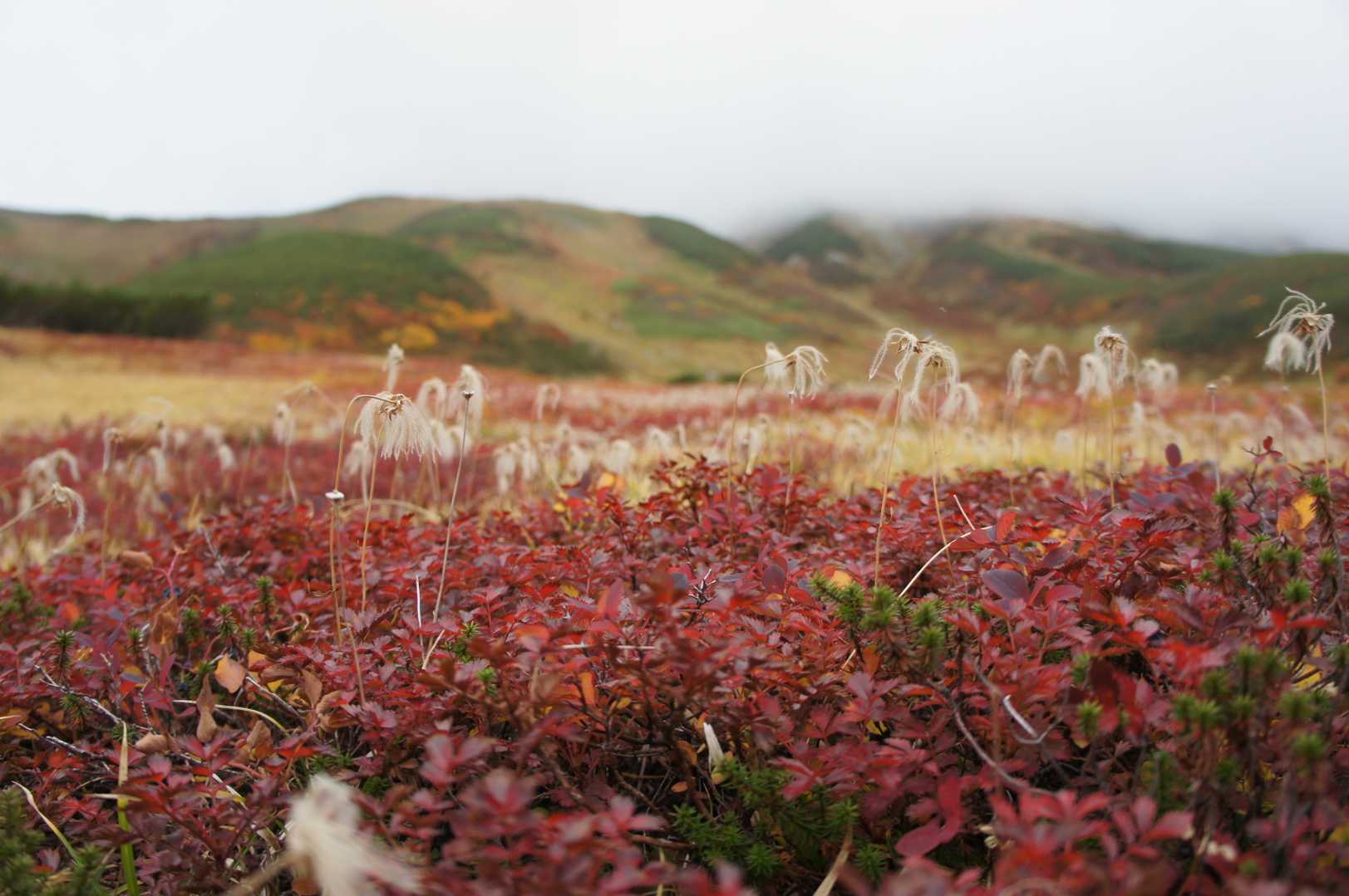 別山-真砂岳 周回コースの写真