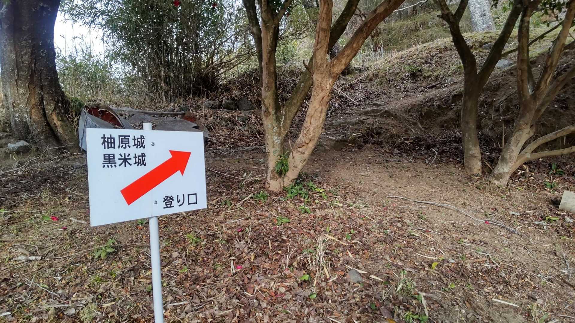 ここからスタート
案内は山ではなく城です🏯