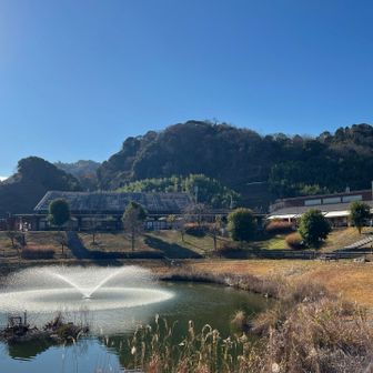 神於山をバックに撮った愛彩ランド🥬