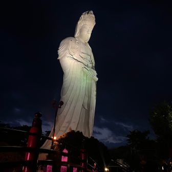 高崎白衣大観音！ライトアップ効果で実に神々しい……