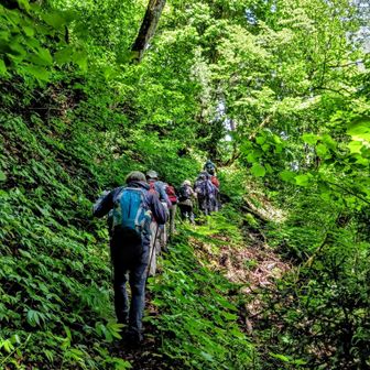登山道狭い