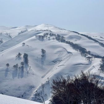 振り返ったら…
こんなに離れていても日に当たってトレースが見える。