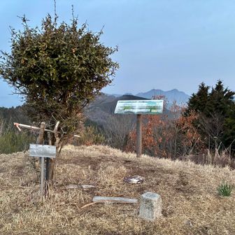 大将陣山に登頂🙌
日の出まであと10分、偶然にしては素晴らしいタイミングやね👏
