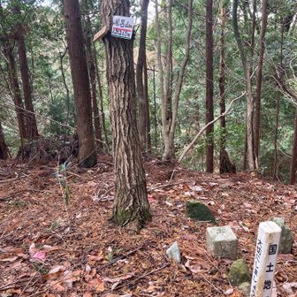 山名板と三角点