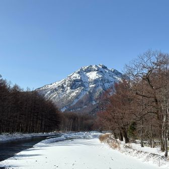 プリンと登ったことある焼岳