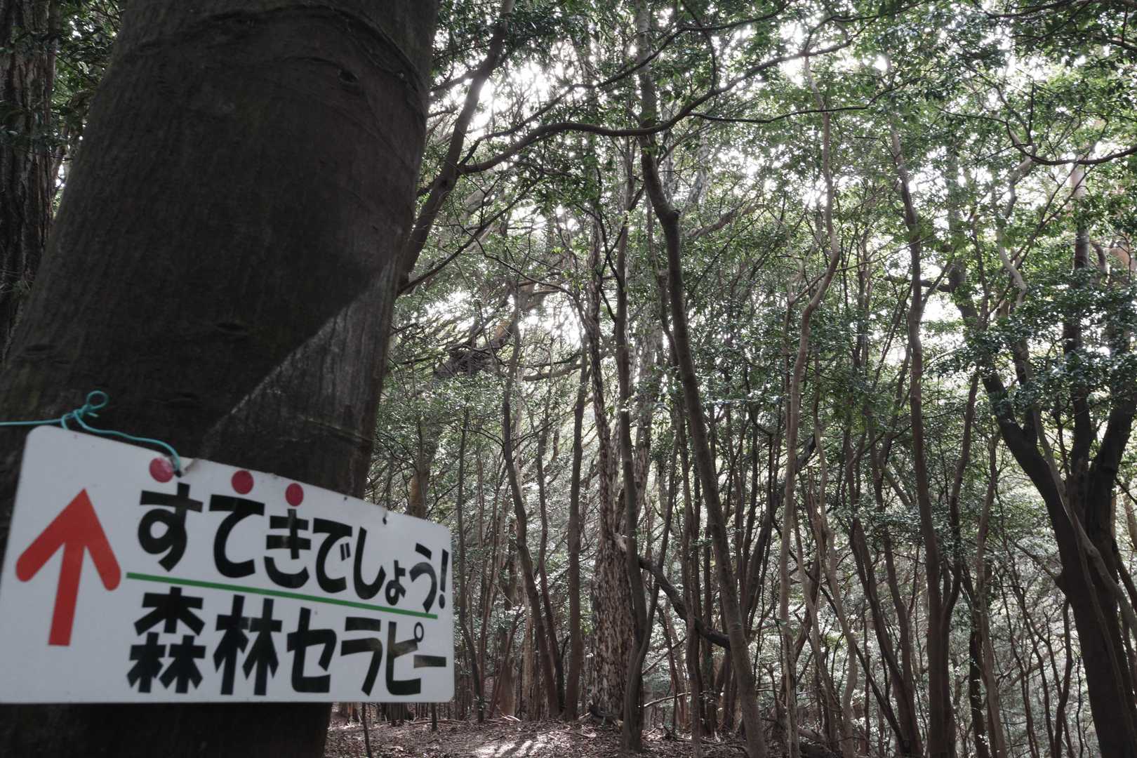 はい。
